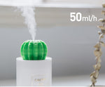 Load image into Gallery viewer, Koubai Cactus Essential Oil Diffuser