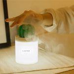 Load image into Gallery viewer, Koubai Cactus Essential Oil Diffuser