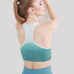 Load image into Gallery viewer, Nozomi Sports Bra
